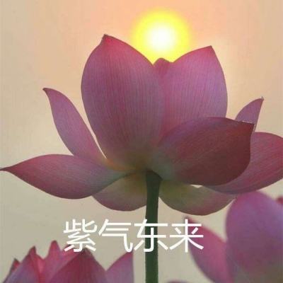 爱微游神武修仙手游下载